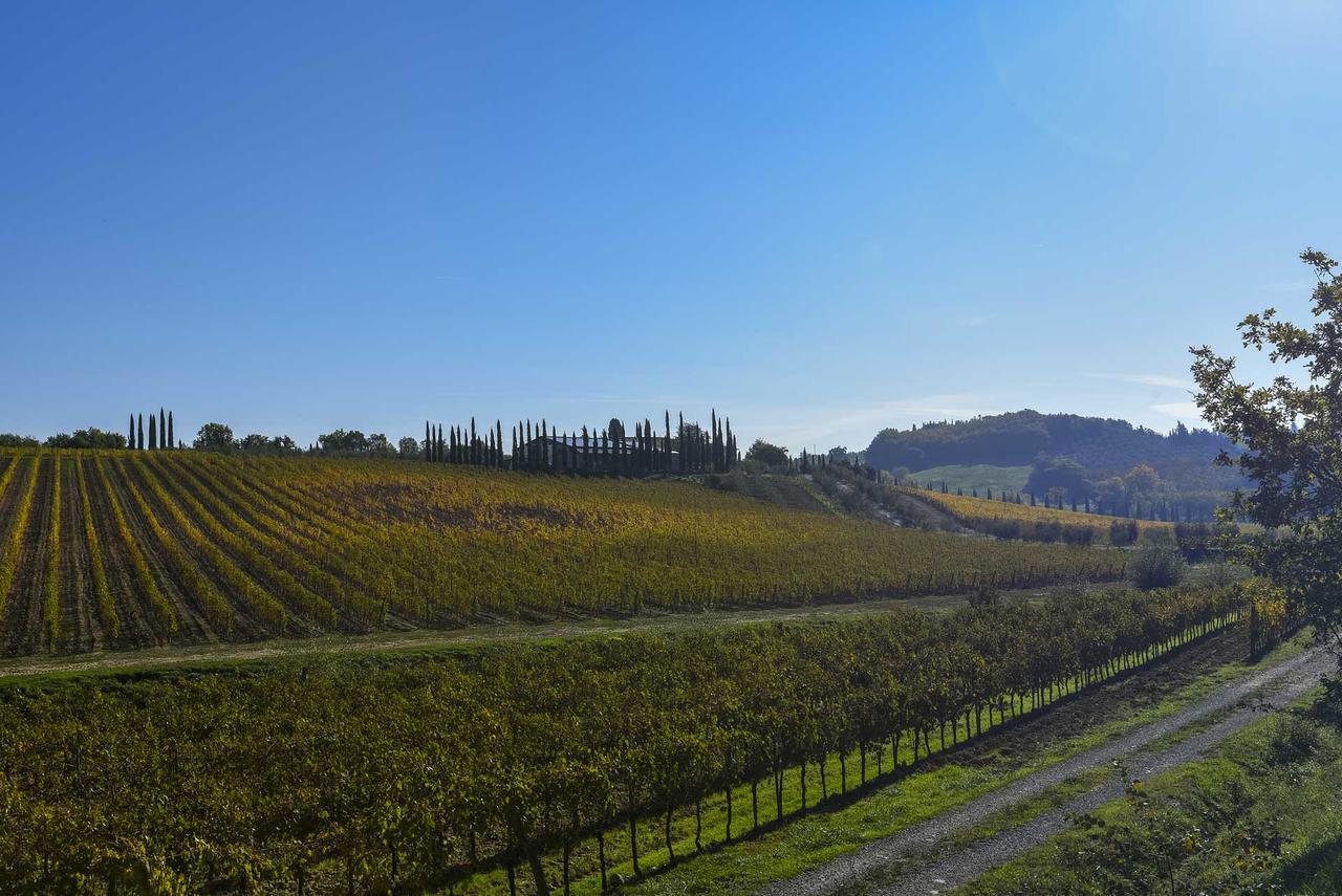 Agriturismo Le Gallozzole Монтериджоні Екстер'єр фото